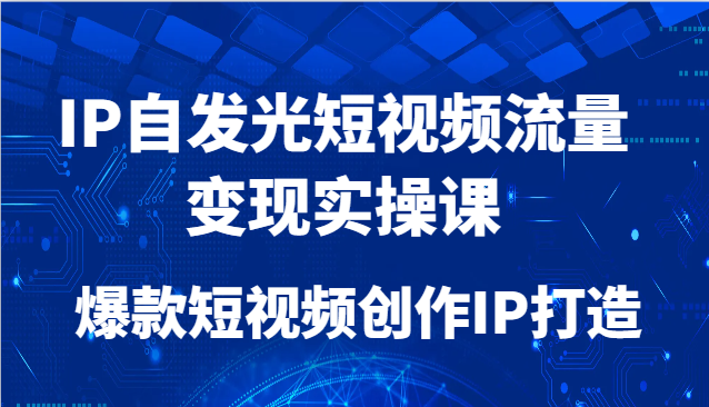 IP自发光短视频流量变现实操课，爆款短视频创作IP打造-钞能力网全创
