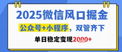 2025微信风口掘金，公众号+小程序双管齐下，单日稳定变现1k+【揭秘】-钞能力网全创