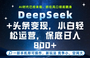 DeepSeek+头条变现，保姆级教学，小白轻松上手，日入8张+【揭秘】-钞能力网全创
