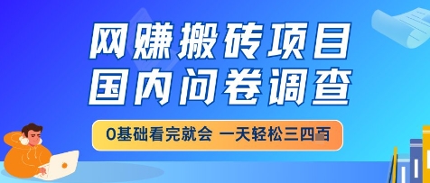 网创搬砖项目，国内问卷调查，小白轻松上手，一天三四张的也不难，干就完了【揭秘】-钞能力网全创