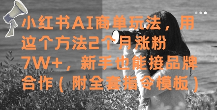 小红书AI商单玩法，用这个方法2个月涨粉7W+，新手也能接品牌合作(附全套指令模板)-钞能力网全创