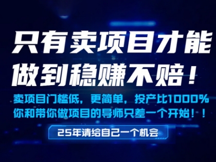 只有卖项目才能做到稳挣不赔，门槛低，更简单，你也可以年入百个W【揭秘】-钞能力网全创
