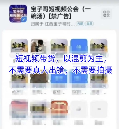 宝子哥头部团队短视频带货，以混剪为主，不需要真人出镜，不需要拍摄【更新】-钞能力网全创