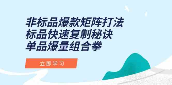 非标品爆款矩阵打法，标品快速复制秘诀，单品爆量组合拳-钞能力网全创