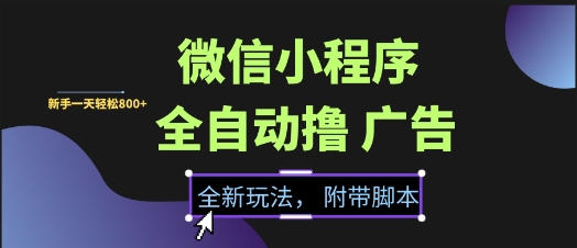 微信小程序全自动撸广告项目，彻底解决没流量的问题，新手一天8张+【揭秘】-钞能力网全创