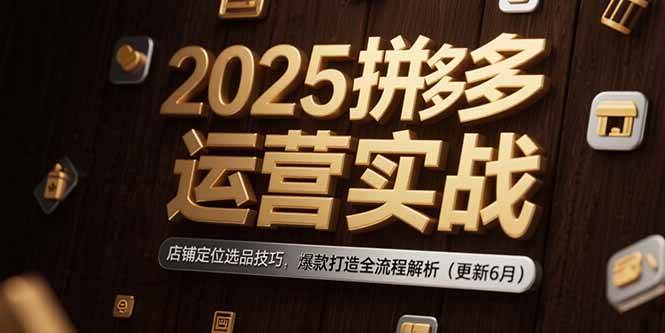 （15235期）2025拼多多运营实战：店铺定位选品技巧，爆款打造全流程解析（更新6月）-钞能力网全创