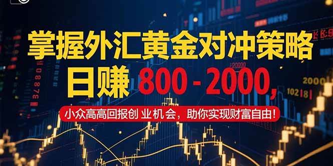 （15198期）掌握外汇黄金对冲策略，日赚 800 – 2000，小众高回报创业机会，助你实…-钞能力网全创
