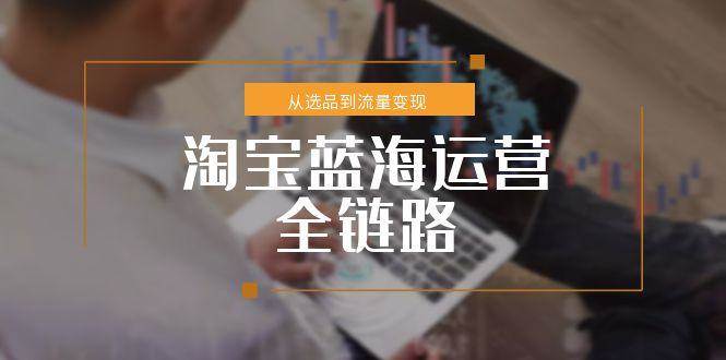 （15160期）淘宝蓝海运营全链路，从选品到流量变现，小类目突围完整方案-钞能力网全创