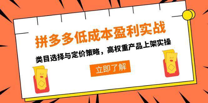（15143期）拼多多低成本盈利实战，类目选择与定价策略，高权重产品上架实操-钞能力网全创