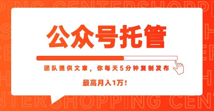 （15109期）【公众号托管 】我提供文章，你每天５分钟复制发布，最高月入1W-钞能力网全创