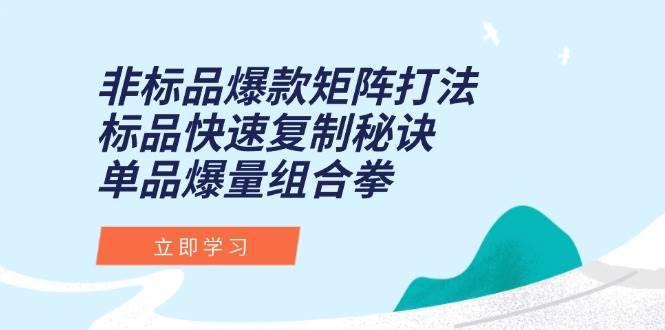 （15068期）非标品爆款矩阵打法，标品快速复制秘诀，单品爆量组合拳-钞能力网全创